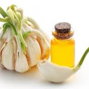 Tinh dầu tỏi nguyên chất
